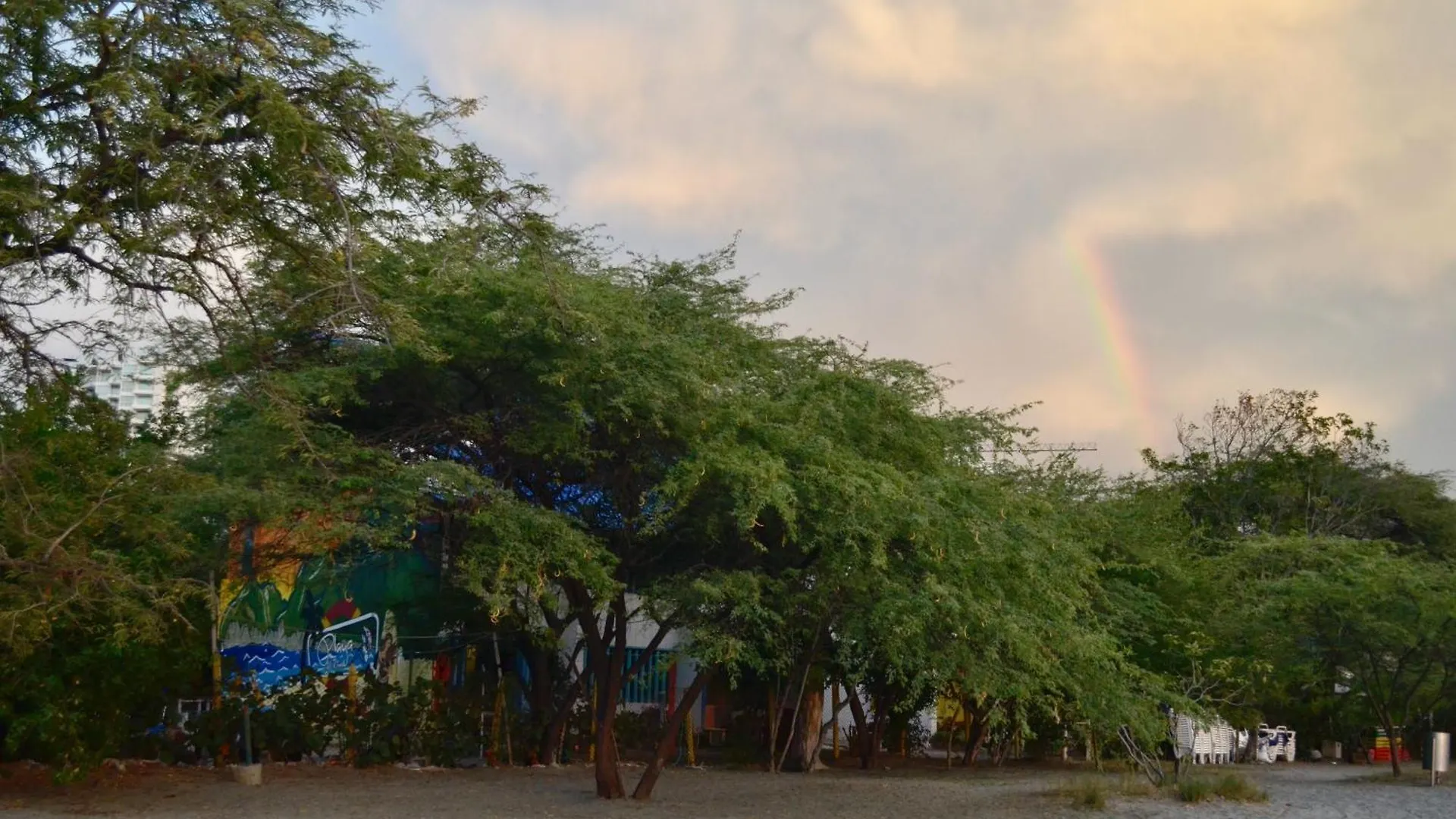 Playa Del Ritmo Beach Hostel & Bar - Adults Only Santa Marta